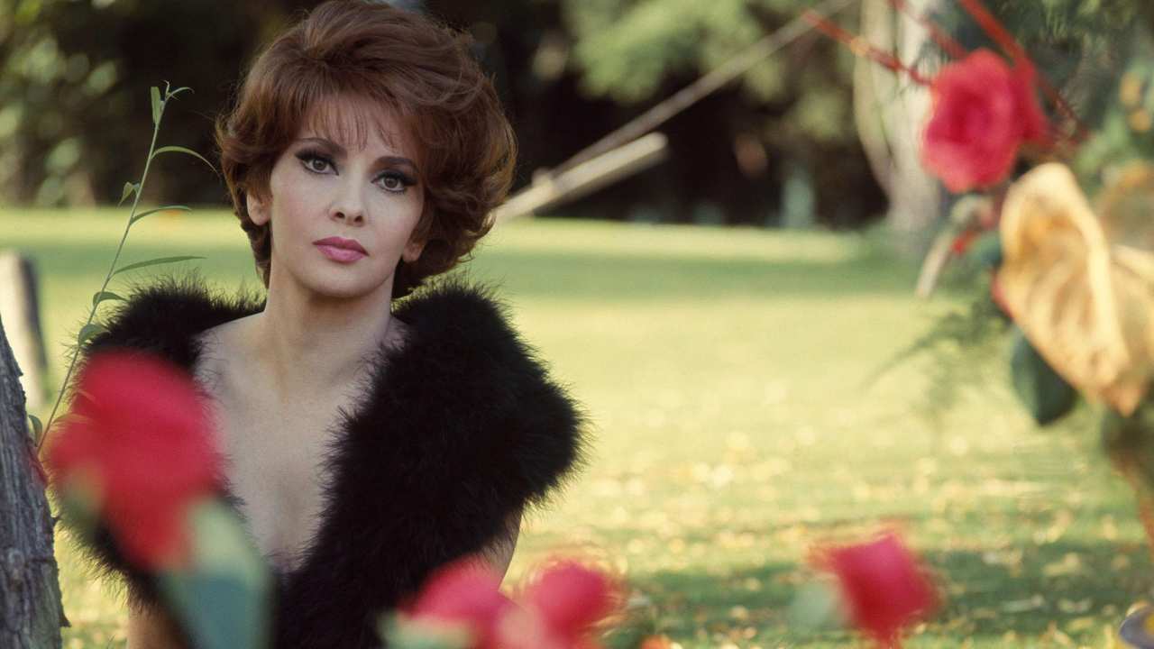 gina lollobrigida dramma e verità