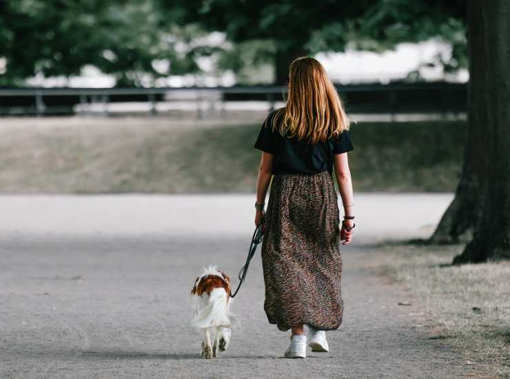 allungare la vita di 11 anni